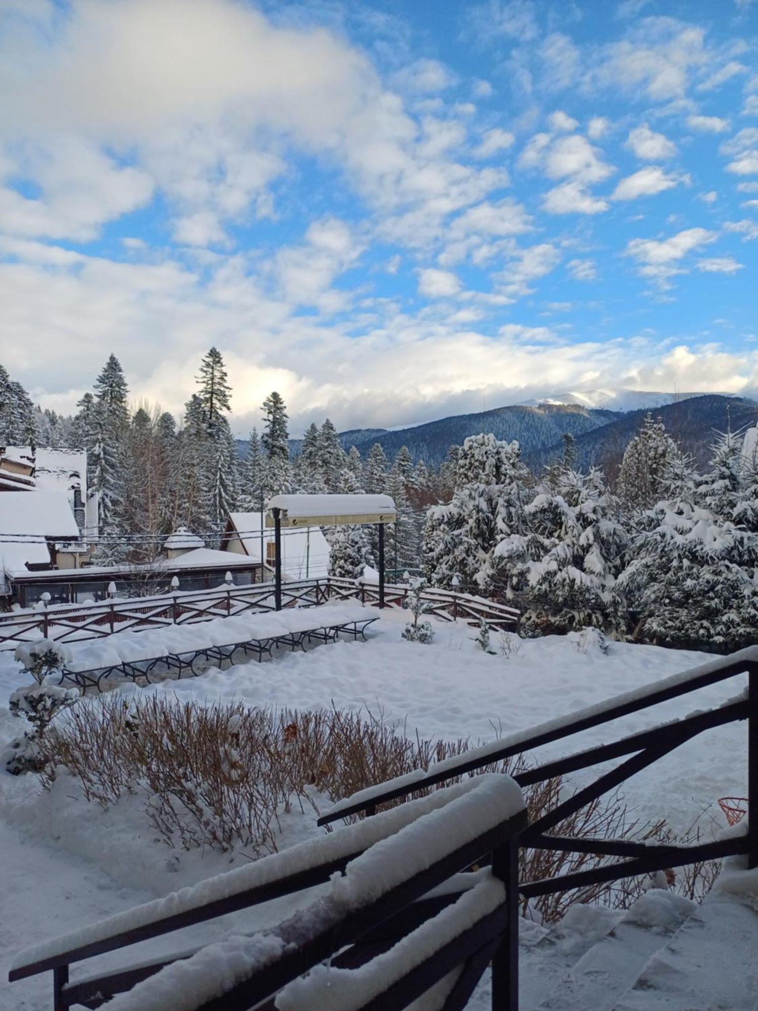 Apartamente Private A&L View Sinaia Exterior photo